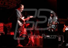 JOE KUBEK-BNOIS KING4