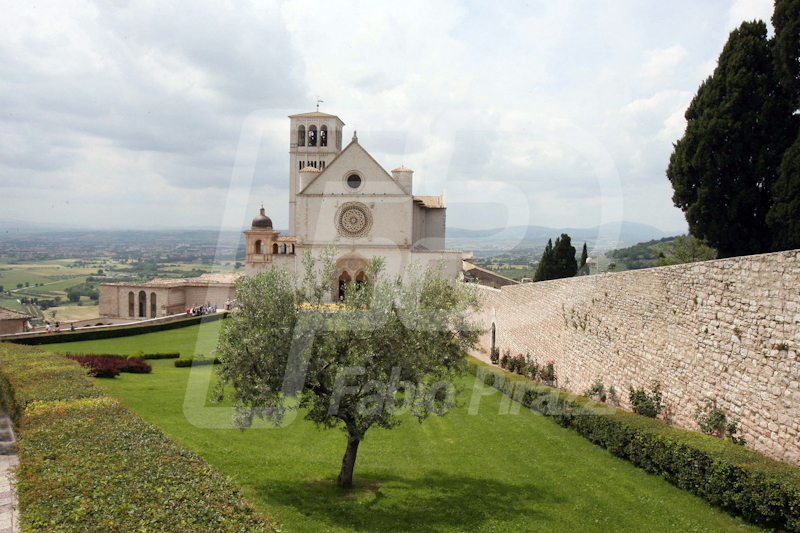 ASSISI49