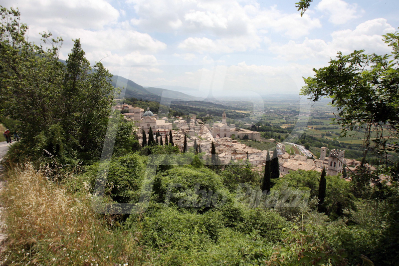 ASSISI