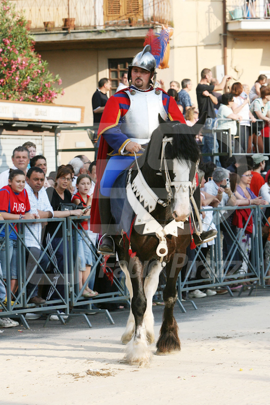 PALIO133