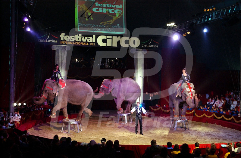 CIRCO23